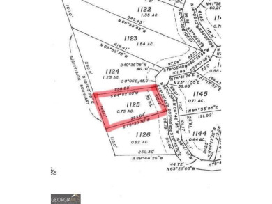 Carters Lake Lot For Sale in Ellijay Georgia