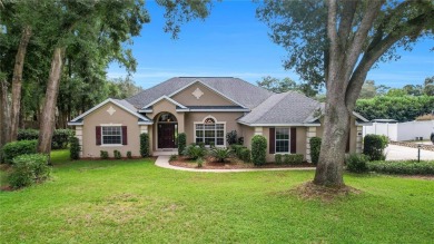 Lake Idlewild Home For Sale in Fruitland Park Florida