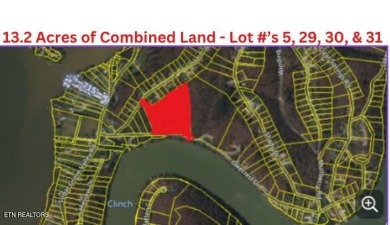 Lake Acreage For Sale in Harriman, Tennessee