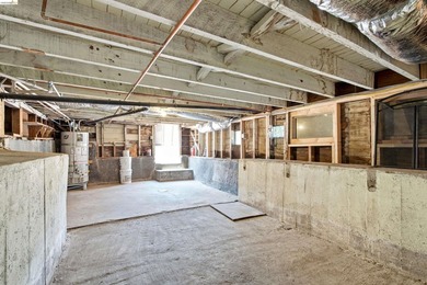 One lot, two renovated detached homes in Oakland's vibrant - photo 33