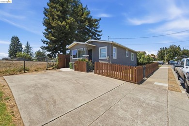 One lot, two renovated detached homes in Oakland's vibrant - photo 37