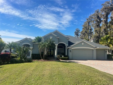 Lake Parker Home For Sale in Odessa Florida