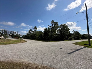 Fantastic oversized corner lot in Port Charlotte, now ready for - photo 2
