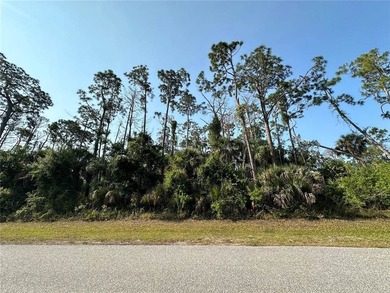 Fantastic oversized corner lot in Port Charlotte, now ready for - photo 3