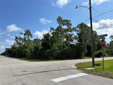 Fantastic oversized corner lot in Port Charlotte, now ready for - photo 5