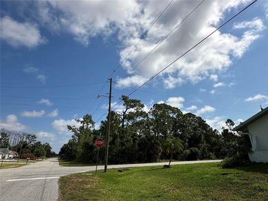 Fantastic oversized corner lot in Port Charlotte, now ready for - photo 6