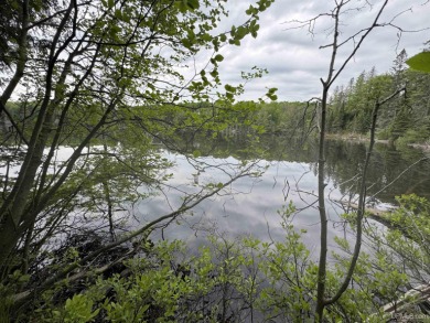 Lake Acreage For Sale in Amasa, Michigan
