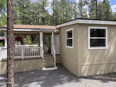 Show Low Lake Home For Sale in Show Low Arizona