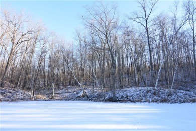 Lake Acreage For Sale in New Auburn, Wisconsin