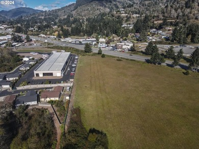 SIGNIFICANT PRICE IMPROVEMENT with 1,000 feet of Scenic HWY 101 - photo 3