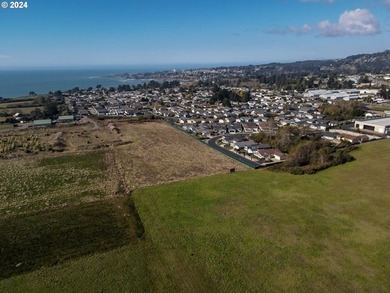 SIGNIFICANT PRICE IMPROVEMENT with 1,000 feet of Scenic HWY 101 - photo 4