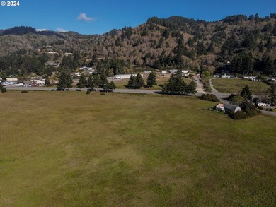 SIGNIFICANT PRICE IMPROVEMENT with 1,000 feet of Scenic HWY 101 - photo 9