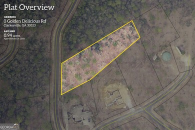 Golden Lake  Lot For Sale in Clarkesville Georgia