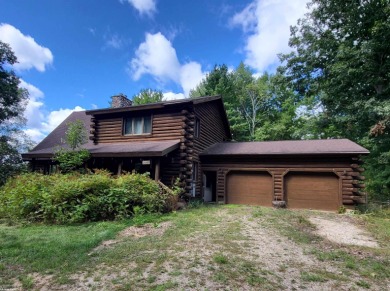Lake Home For Sale in Evart, Michigan