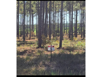 Toledo Bend Reservoir Lot For Sale in Florien Louisiana