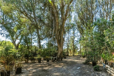 14 Johns Canyon Rd - photo 3