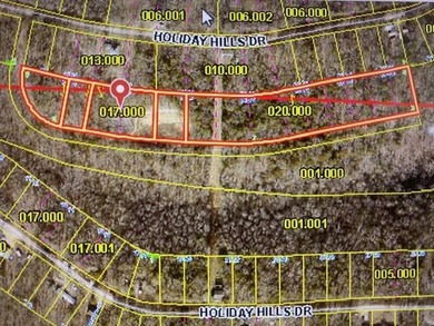 Lake Acreage For Sale in Cape Fair, Missouri