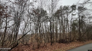 Lake Lot For Sale in Baneberry, Tennessee