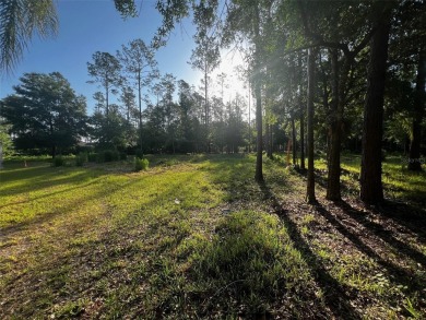 Lake Lot For Sale in Lutz, Florida