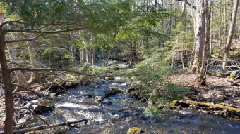 Fahi Pond Acreage For Sale in Embden Maine