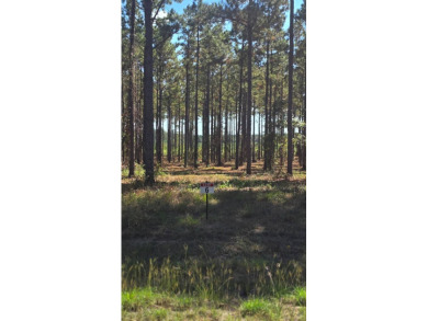 Toledo Bend Reservoir Lot For Sale in Florien Louisiana