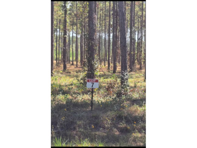 Toledo Bend Reservoir Lot For Sale in Florien Louisiana