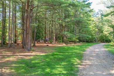 Make your mark on the recreational paradise that is Central New - photo 14