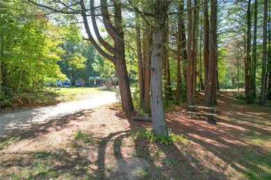 Make your mark on the recreational paradise that is Central New - photo 15
