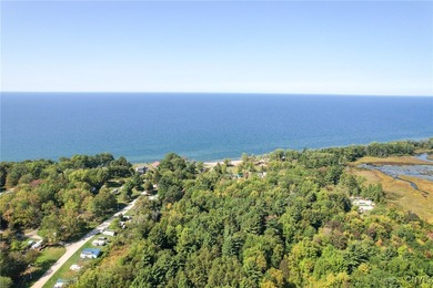 Make your mark on the recreational paradise that is Central New - photo 20