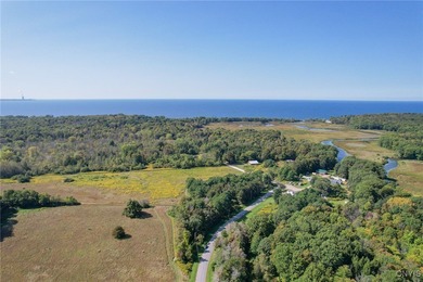Make your mark on the recreational paradise that is Central New - photo 37