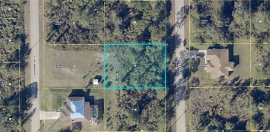 Lehigh Acres Area Lot For Sale in Lehigh Acres Florida