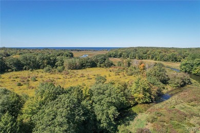 Make your mark on the recreational paradise that is Central New - photo 43