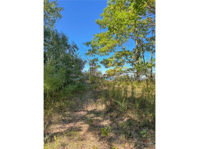 Make your mark on the recreational paradise that is Central New - photo 45