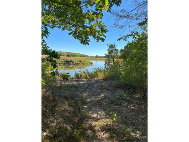 Make your mark on the recreational paradise that is Central New - photo 46