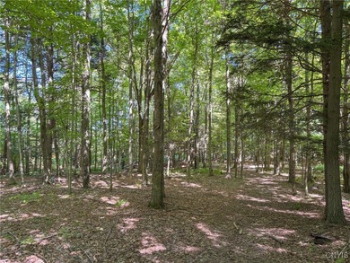Make your mark on the recreational paradise that is Central New - photo 48