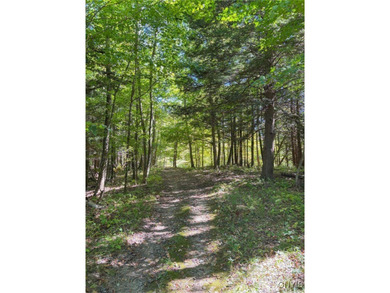 Make your mark on the recreational paradise that is Central New - photo 49