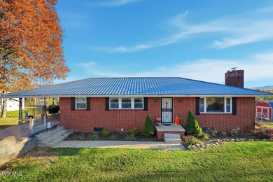 Holston River - Hawkins County Home For Sale in Mount Carmel Tennessee