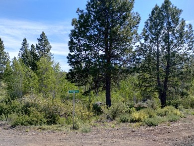 Lake Lot For Sale in Chiloquin, Oregon