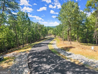Beautiful partially wooded homesite with some slope. One of the - photo 12
