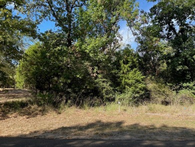 Lake Lot Off Market in Streetman, Texas