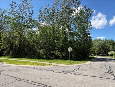 Prime corner lot located in a desirable development within the - photo 8