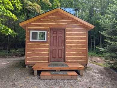 Tamarack Lake - Iron County Acreage For Sale in Iron River Michigan