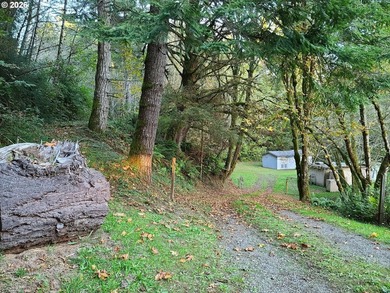 Commercial Water Facilities & Old Military Water Facilities too - photo 1