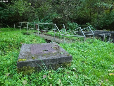 Commercial Water Facilities & Old Military Water Facilities too - photo 2
