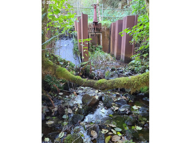 Commercial Water Facilities & Old Military Water Facilities too - photo 4