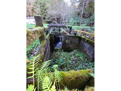 Commercial Water Facilities & Old Military Water Facilities too - photo 5