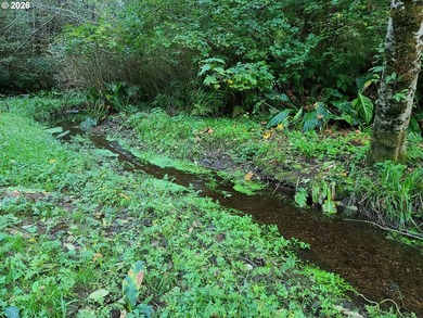 Commercial Water Facilities & Old Military Water Facilities too - photo 9
