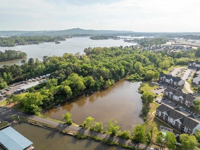This 20.32-acre property, consisting of two combined tracts - photo 11