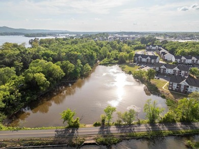 This 20.32-acre property, consisting of two combined tracts - photo 12