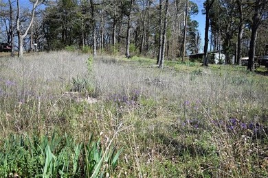 Four Lake Front Lots on Raymond Gary Lake, nestled in the quiet - photo 14